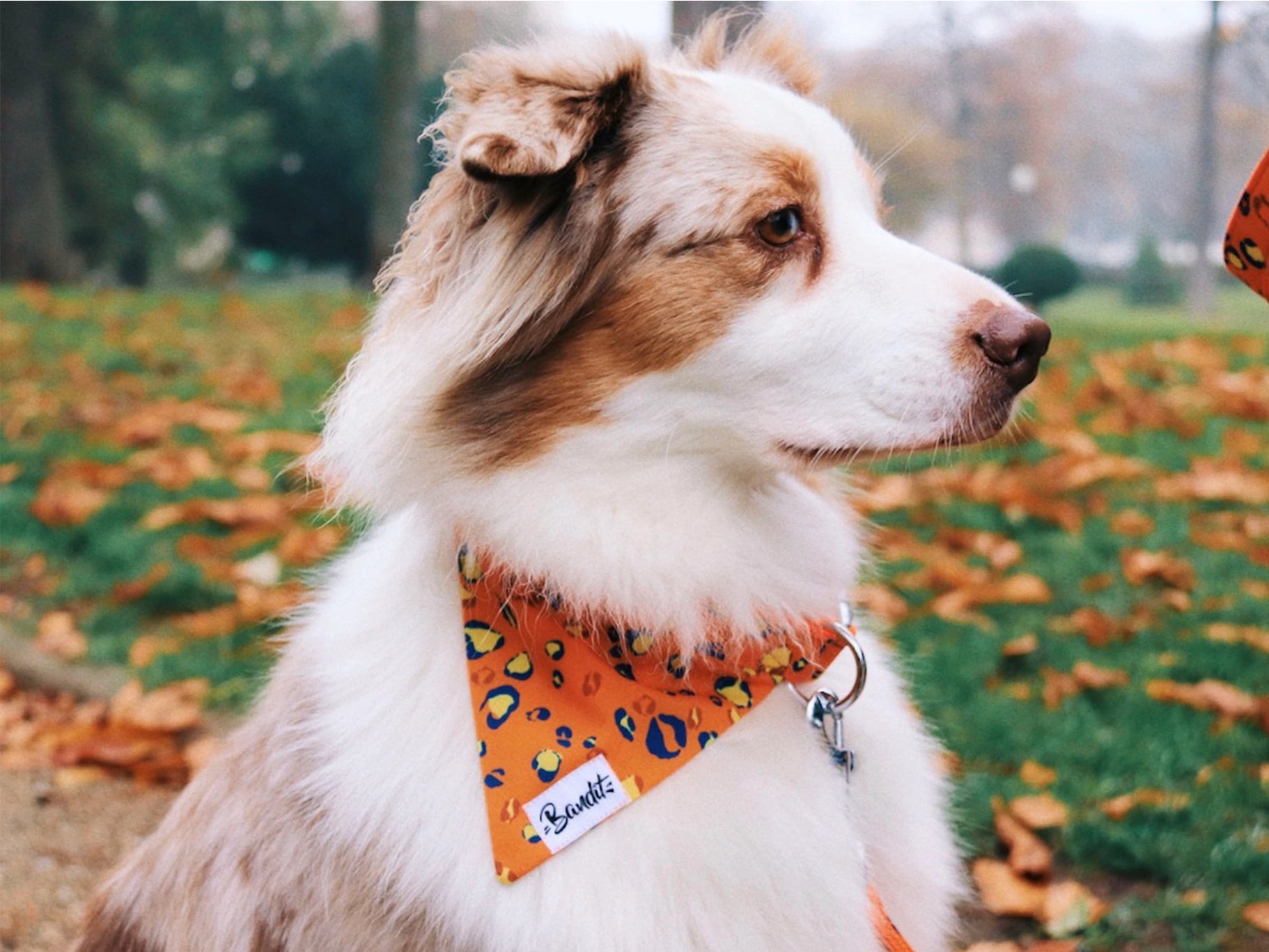 Bandana pour chien - neon jungle