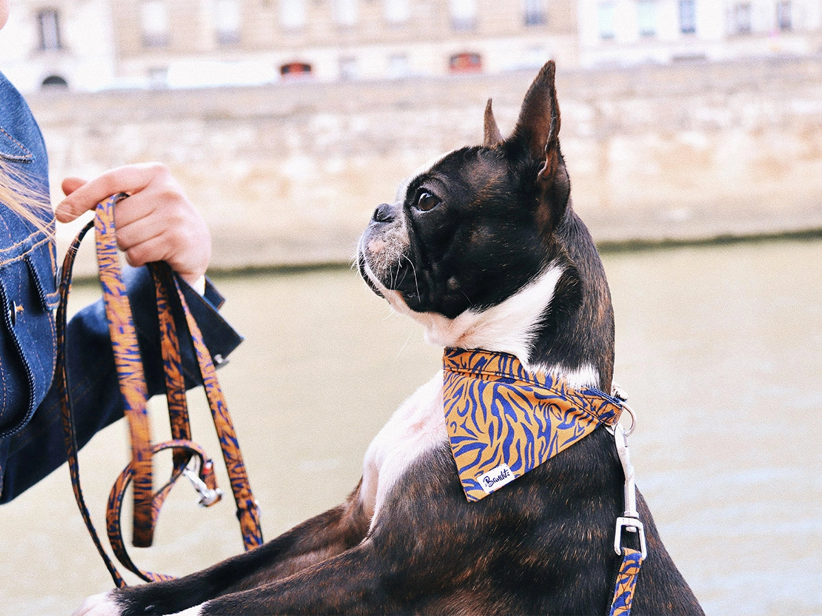 Bandana pour chien - the tigrrr