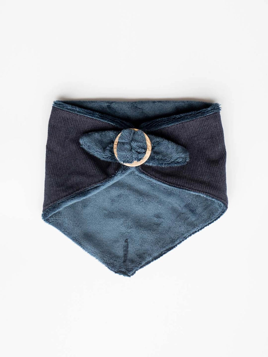 Bandana pour chien - teddy