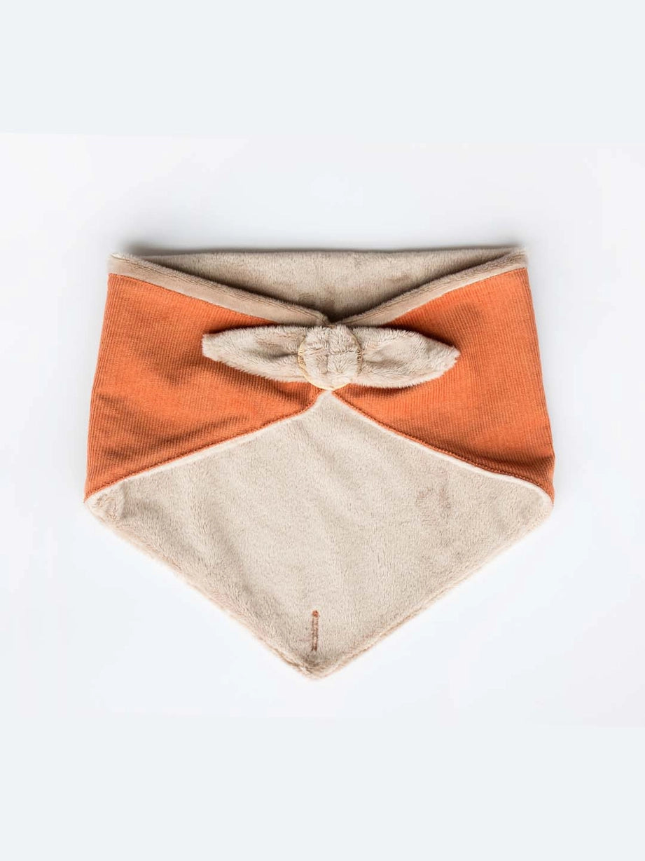 Bandana pour chien - teddy