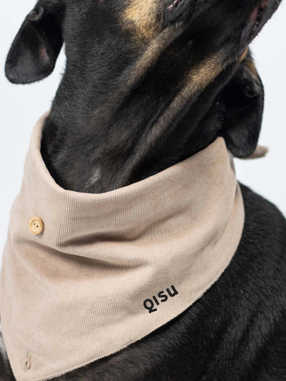 Bandana pour chien - teddy