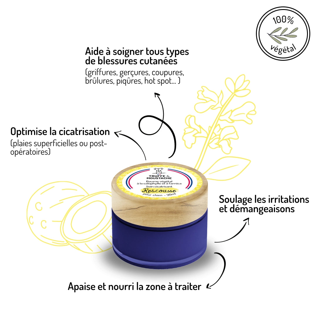 Baume pour chien - rescousse