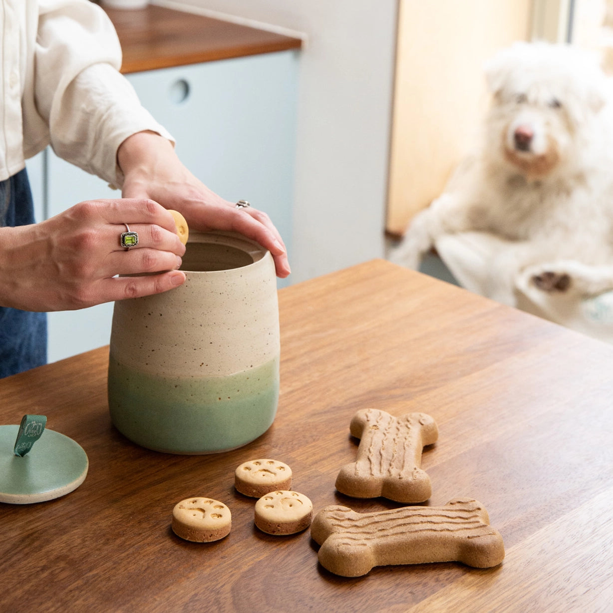 Bocal à friandises pour chien