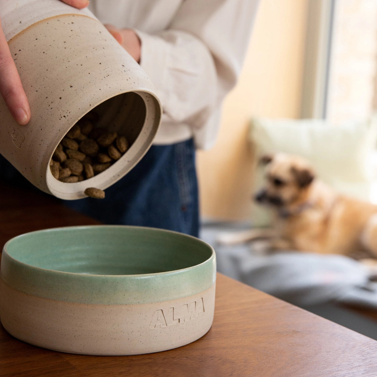 Bocal à friandises pour chien