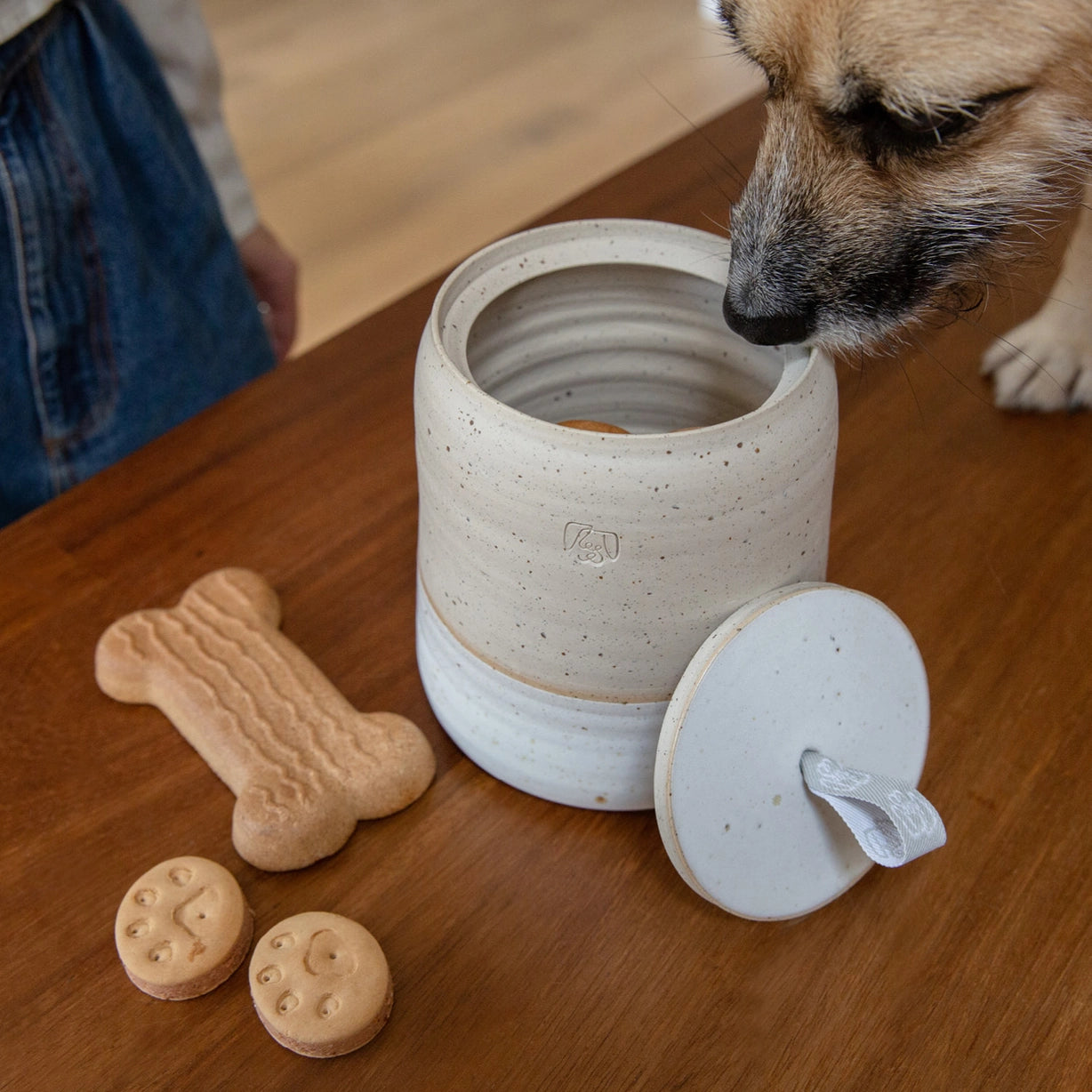 Bocal à friandises pour chien