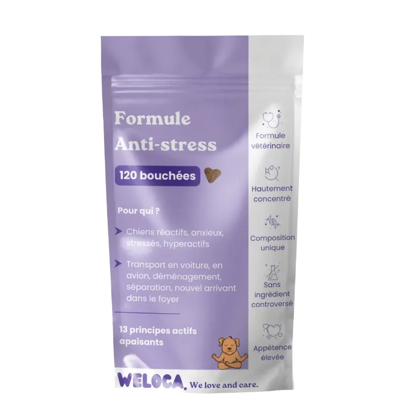 Complément alimentaire pour chien - anti-stress