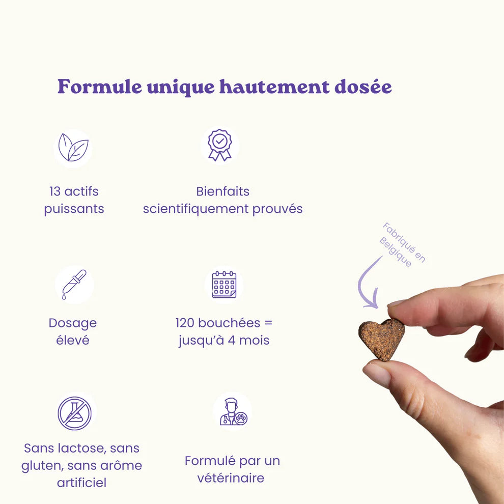 Complément alimentaire pour chien - anti-stress