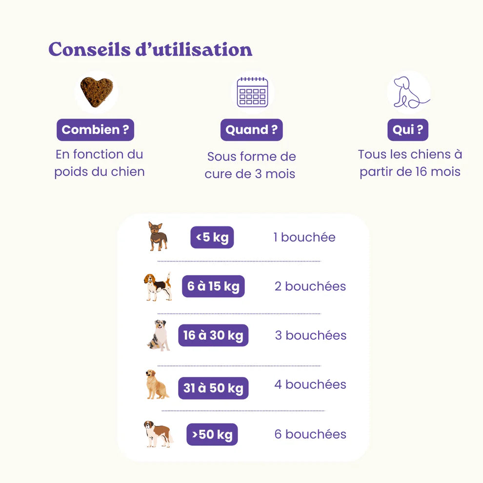 Complément alimentaire pour chien - anti-stress