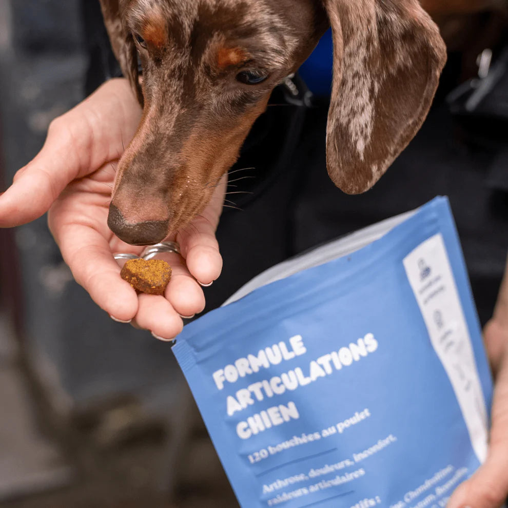 Complément alimentaire pour chien - articulations