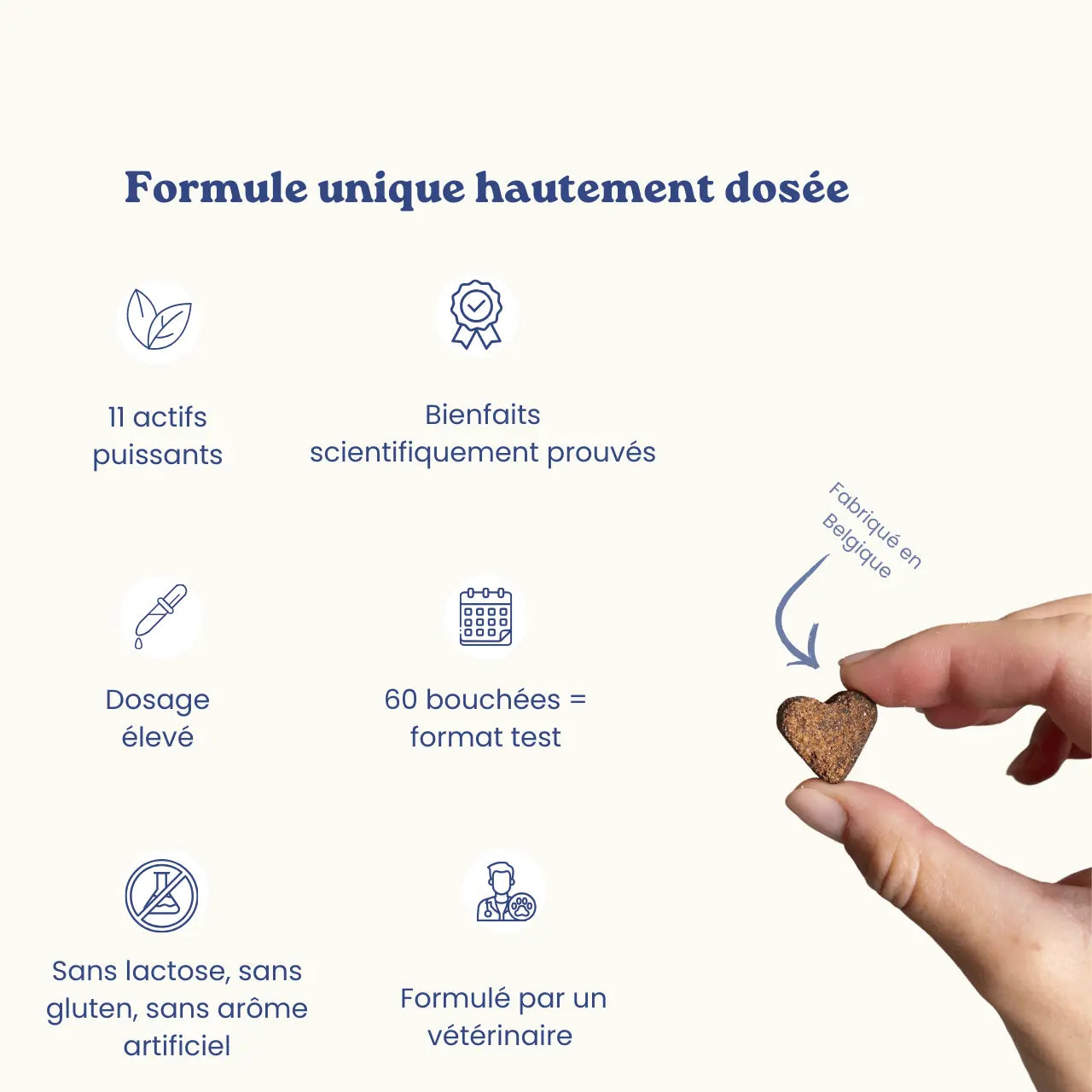 Complément alimentaire pour chien - articulations