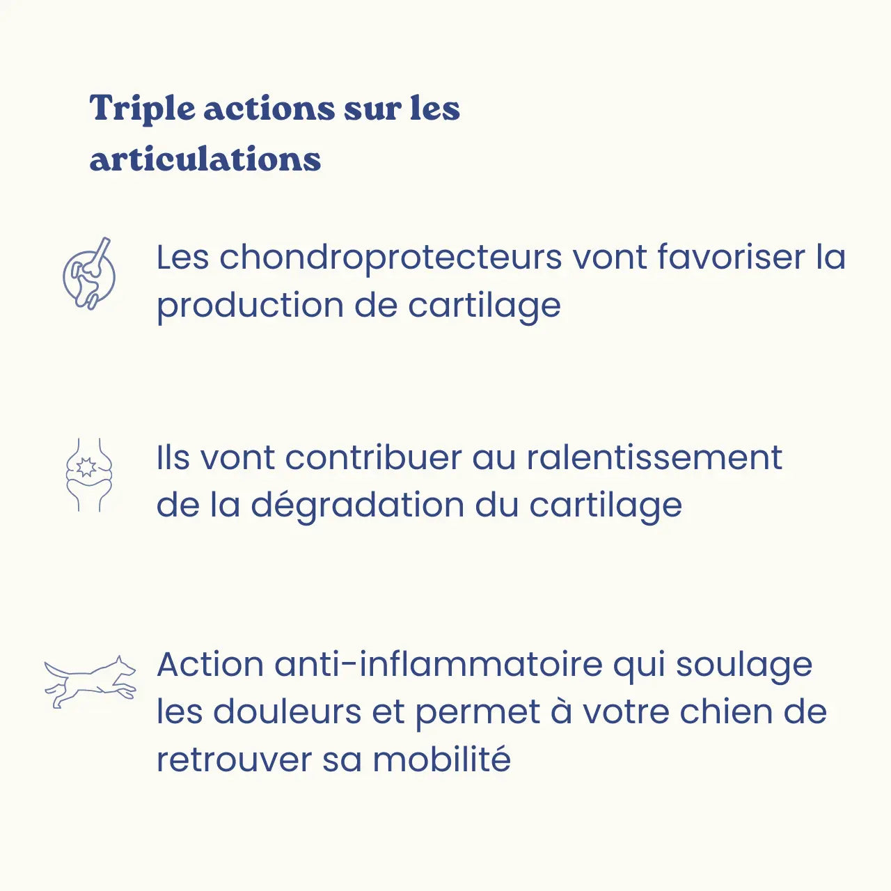 Complément alimentaire pour chien - articulations