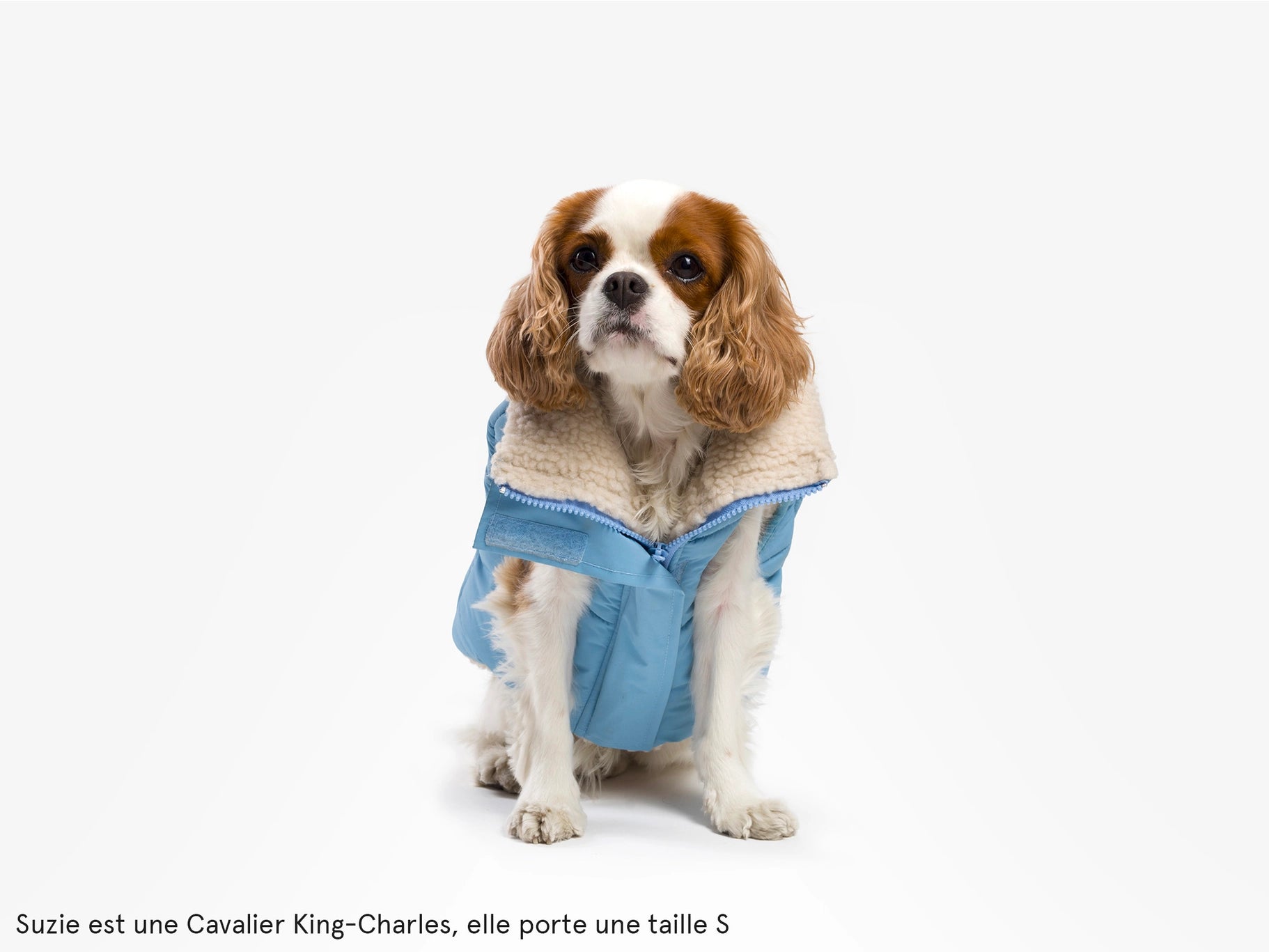 Doudoune pour chien