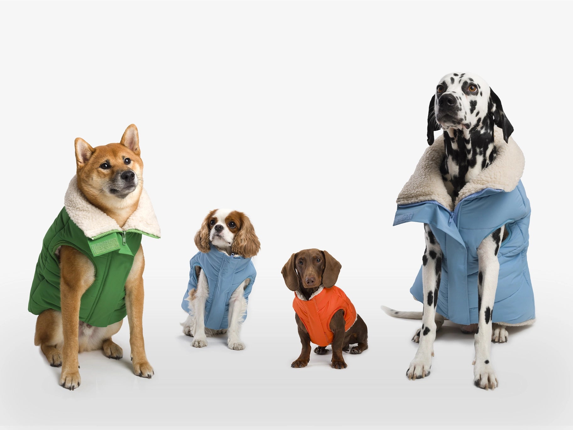 Doudoune pour chien