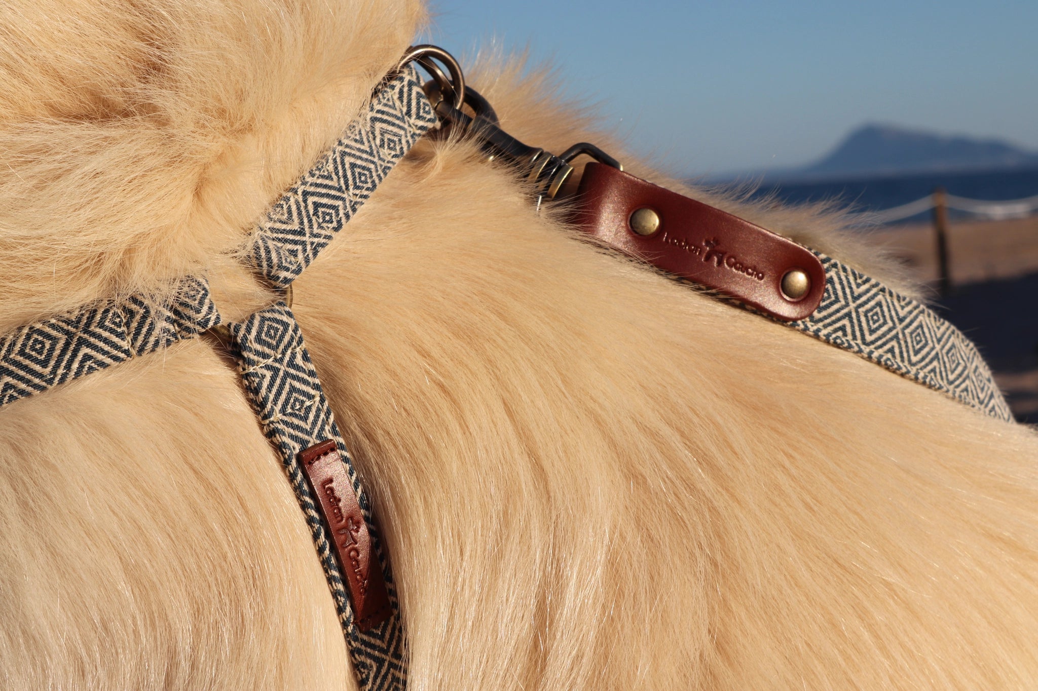 Harnais pour chien - dalton