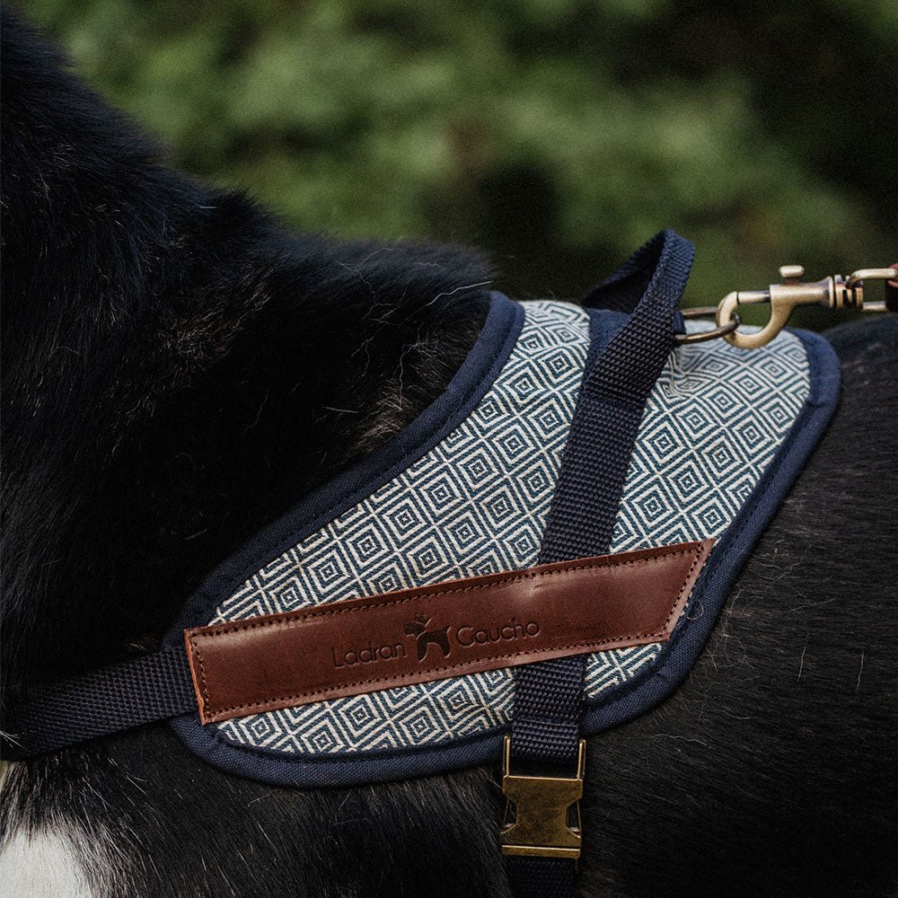 Harnais de sécurité pour chien - dalton