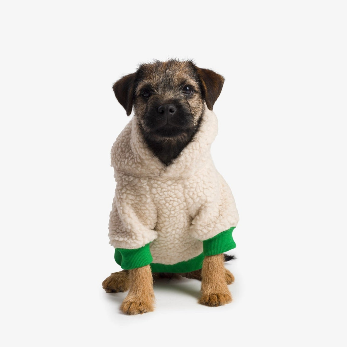 Hoodie pour chien - doux