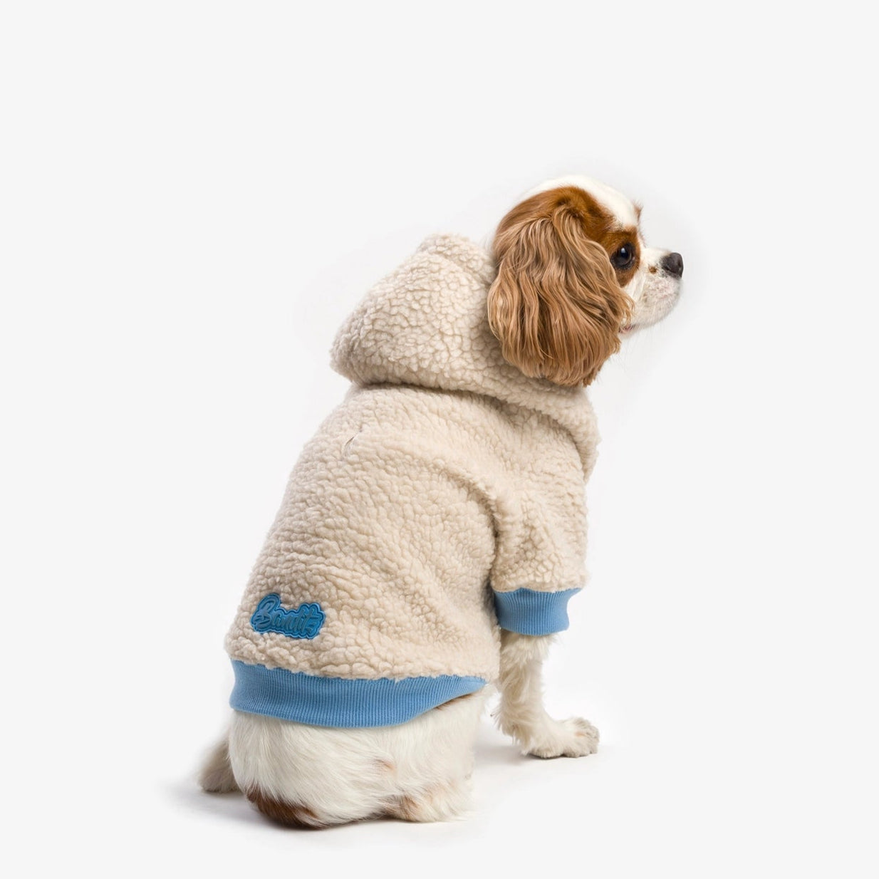 Hoodie pour chien - doux