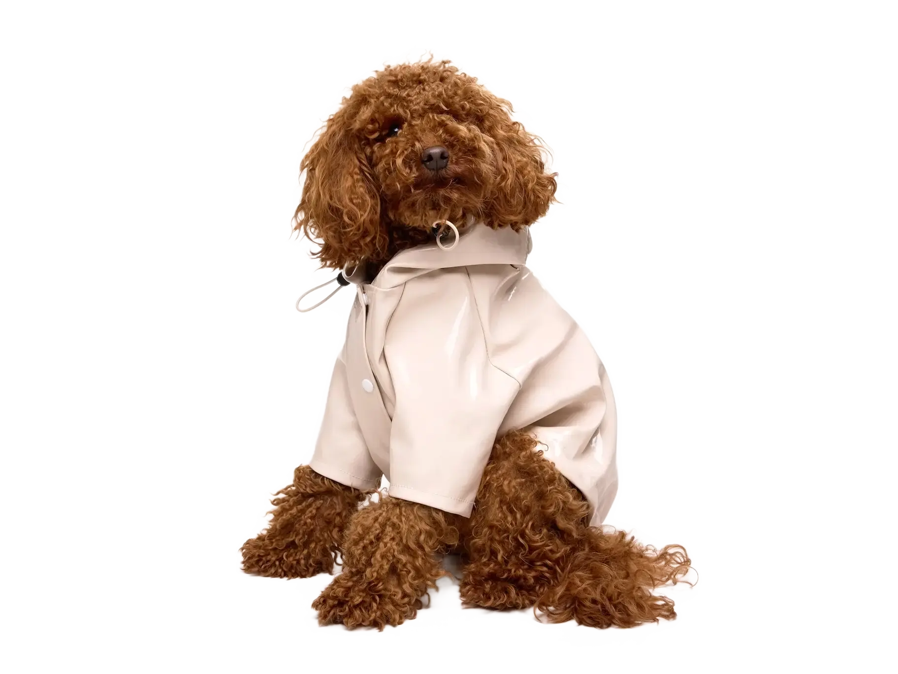 Imperméable pour chien - latte