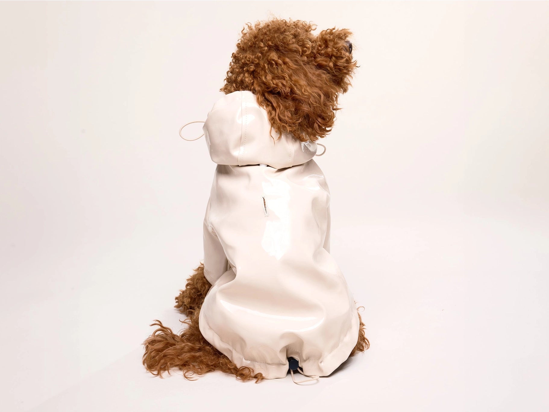 Imperméable pour chien - latte