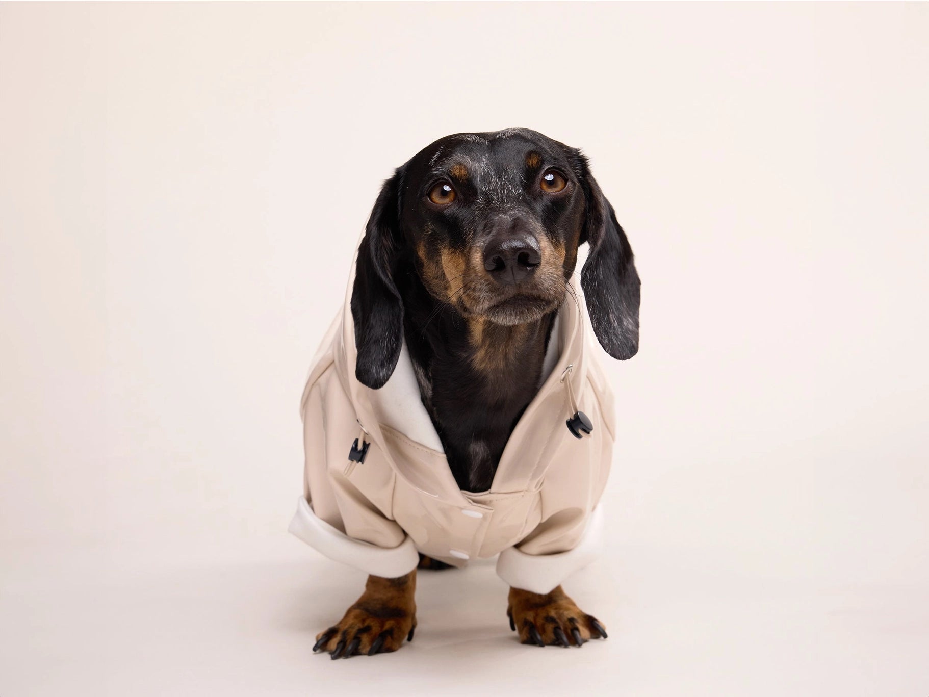 Imperméable pour chien - latte
