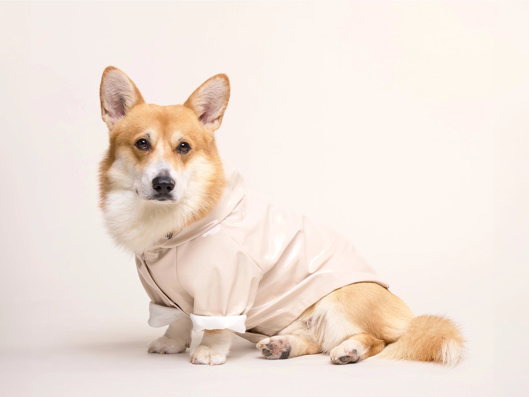 Imperméable pour chien - latte
