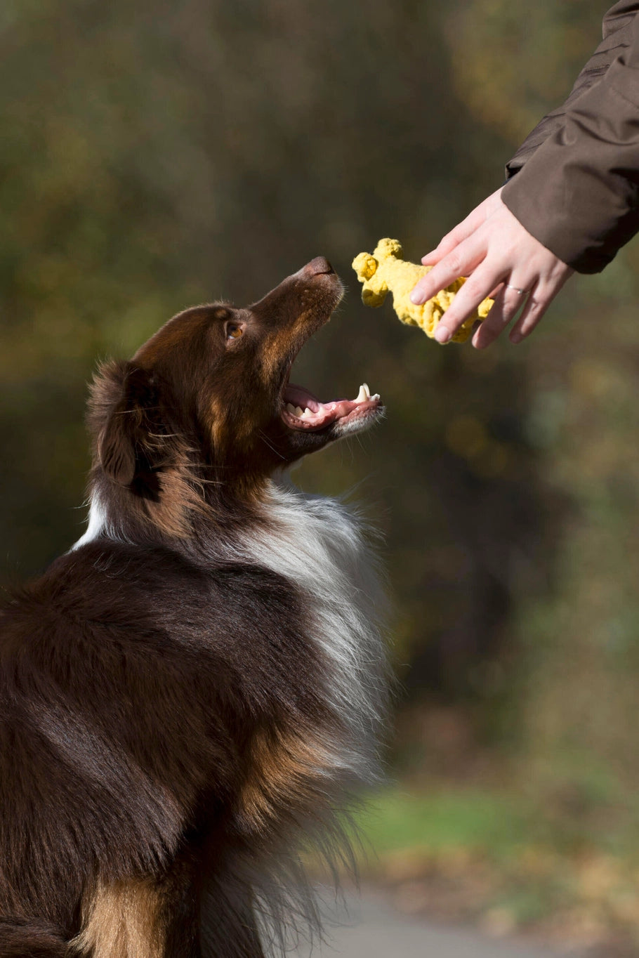Jouet girafe pour chien - greta girafe