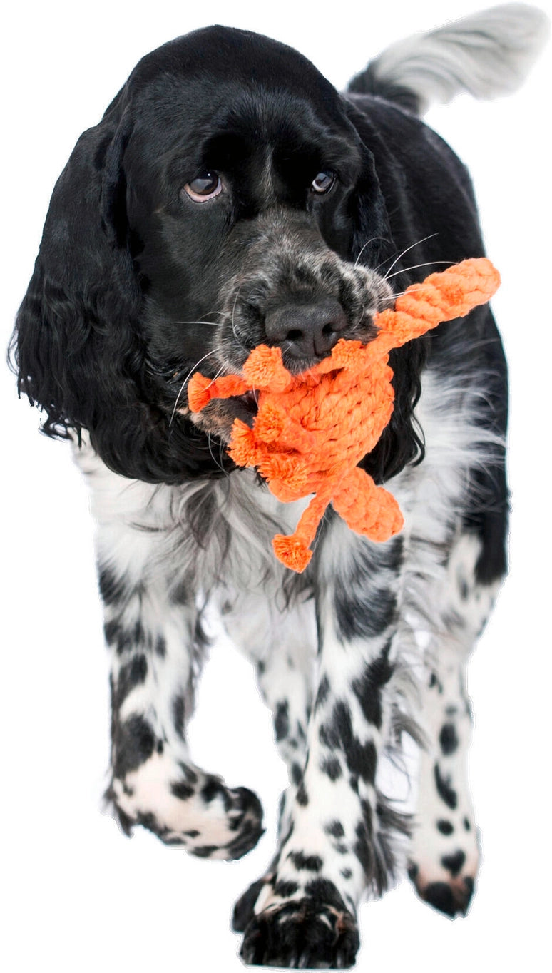 Jouet crabe pour chien - kristof krabbe