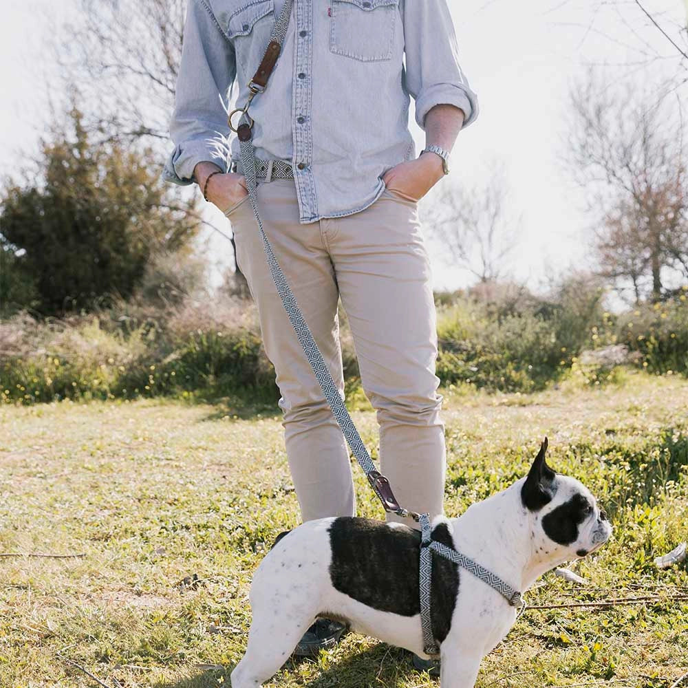 Laisse pour chien - dalton