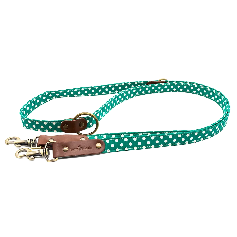 Laisse pour chien - lola