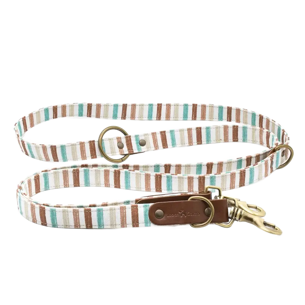 Laisse pour chien - max
