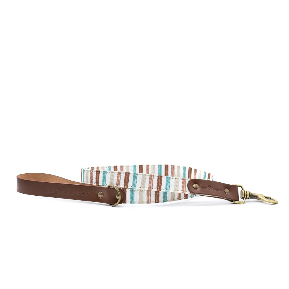 Laisse pour chien - max