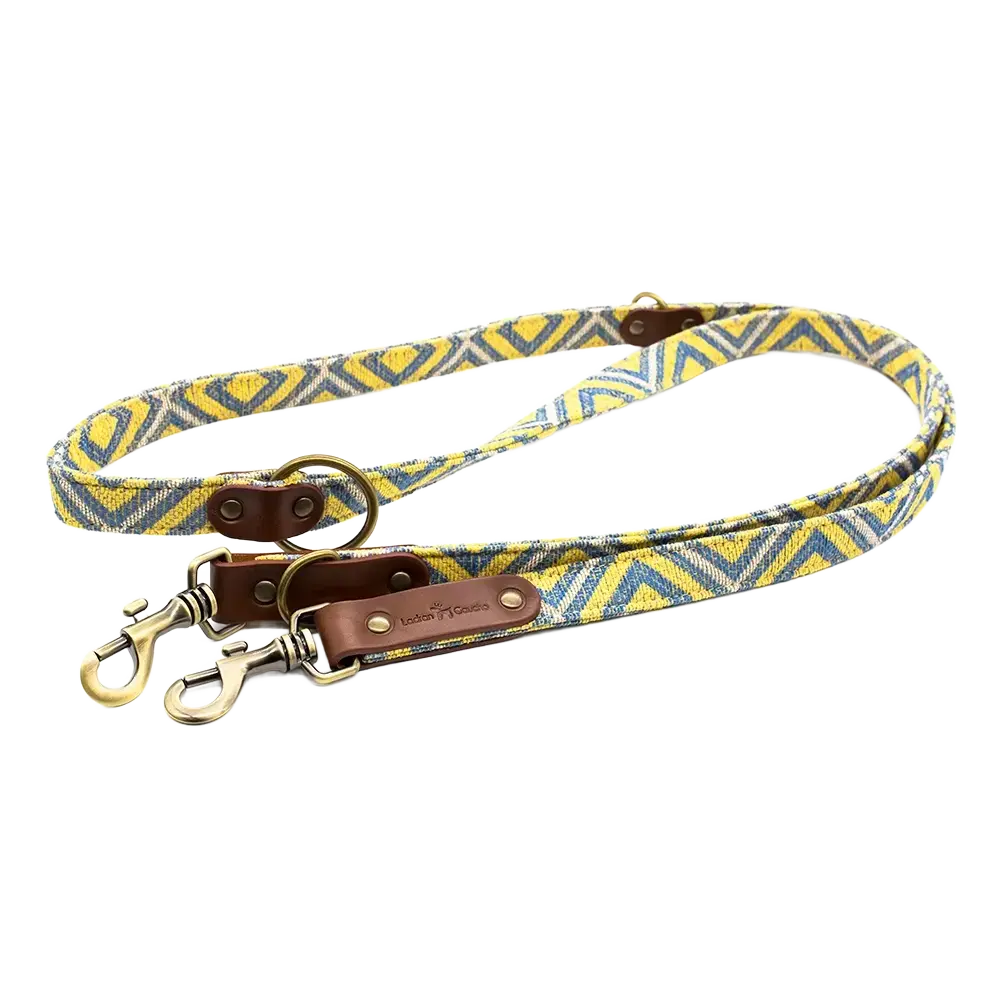 Laisse pour chien - scud