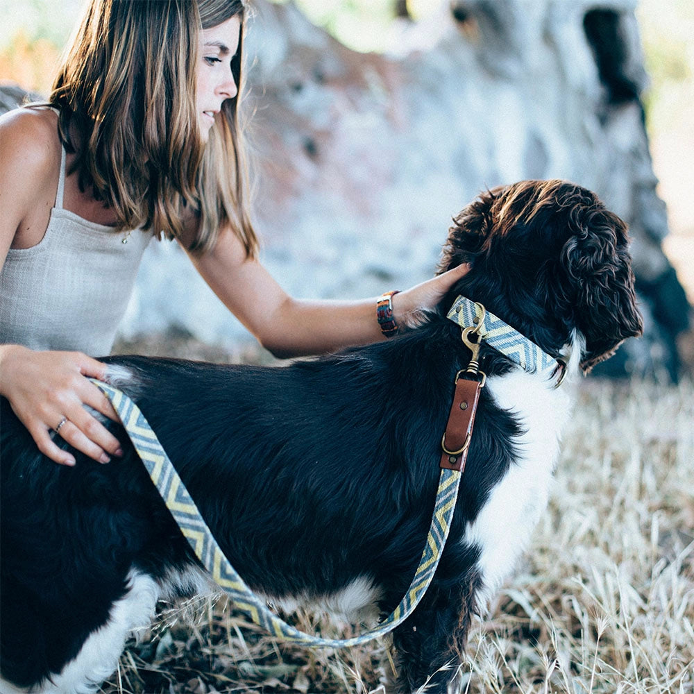 Laisse pour chien - scud