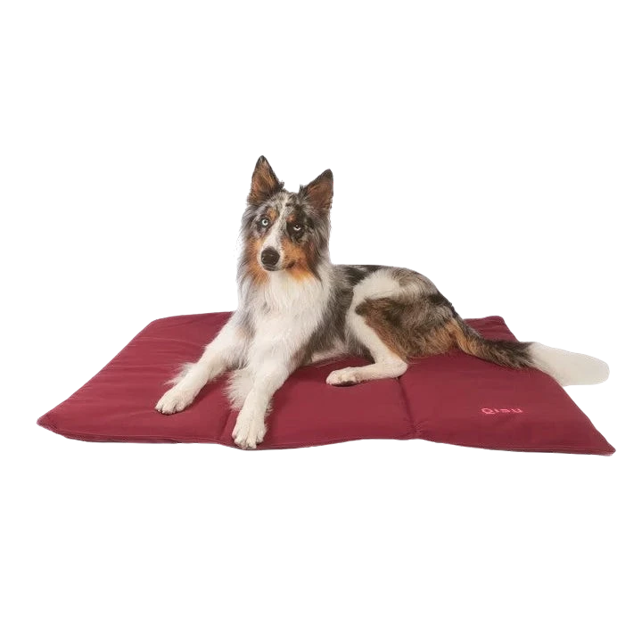 Chien allongé sur un lit nomad pour chien, confortable et écoresponsable, fabriqué en matériaux biologiques et recyclés. Idéal pour l'extérieur.