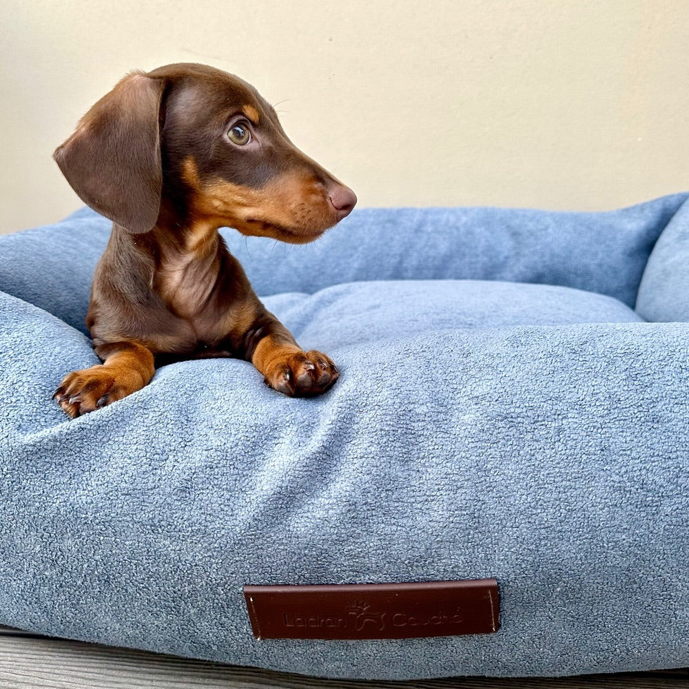 Panier pour chien - cloud sheep