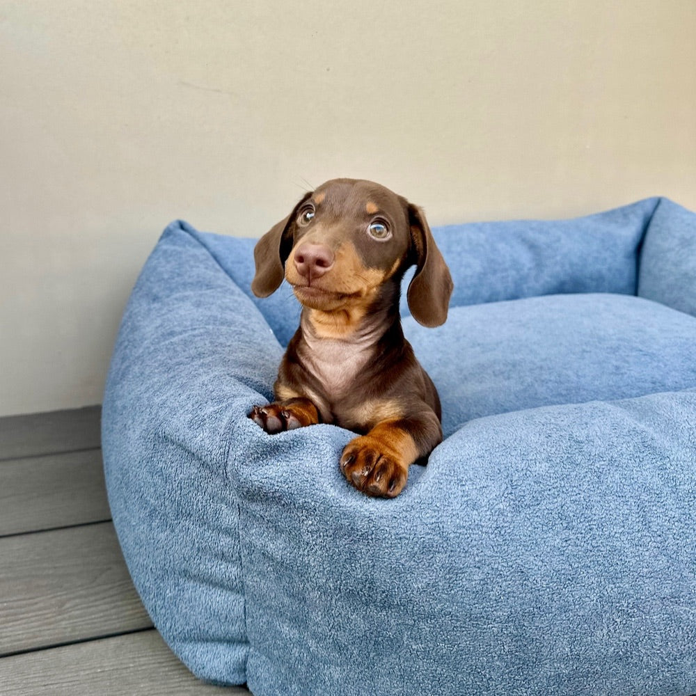 Panier pour chien - cloud sheep