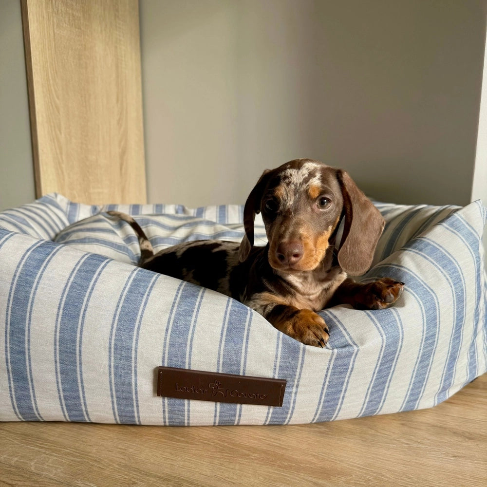 Panier pour chien imperméable - creta