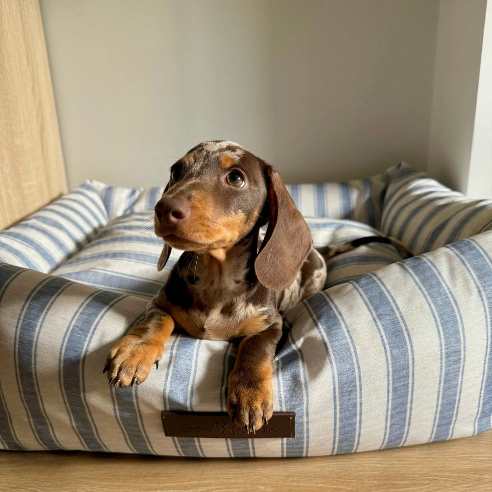 Panier pour chien imperméable - creta