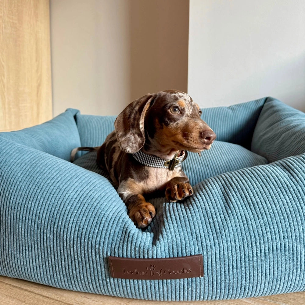 Panier pour chien en velours côtelé - nube