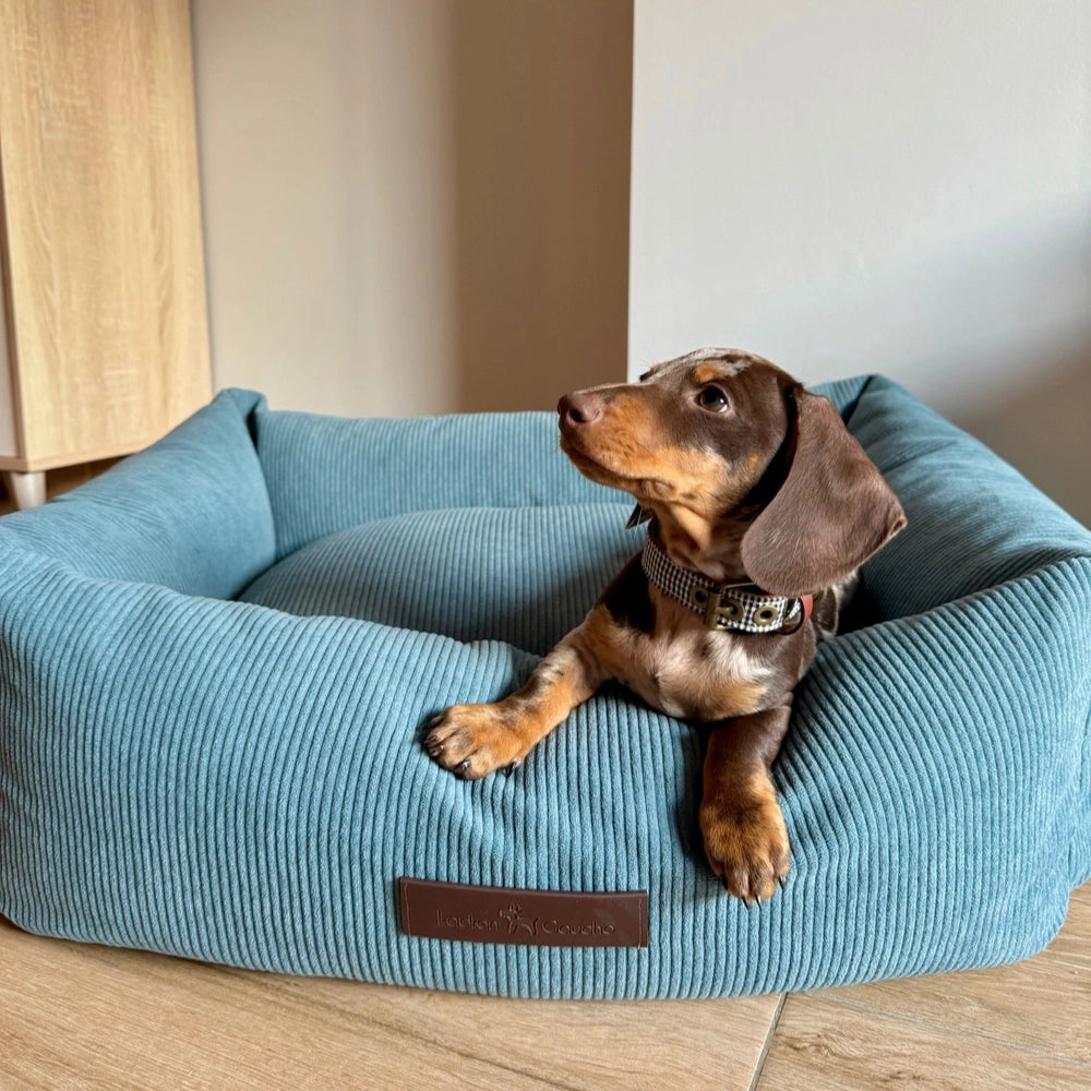 Panier pour chien en velours côtelé - nube