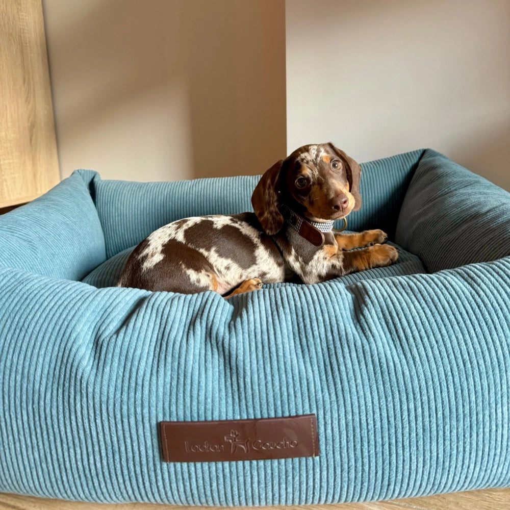 Panier pour chien en velours côtelé - nube