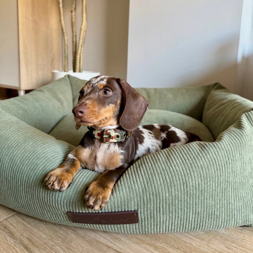 Panier pour chien en velours côtelé - pradera