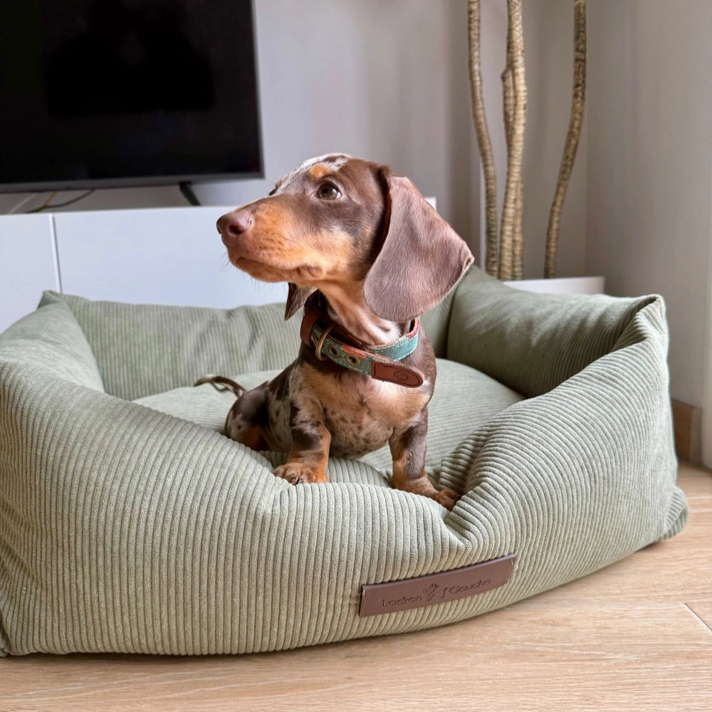 Panier pour chien en velours côtelé - pradera