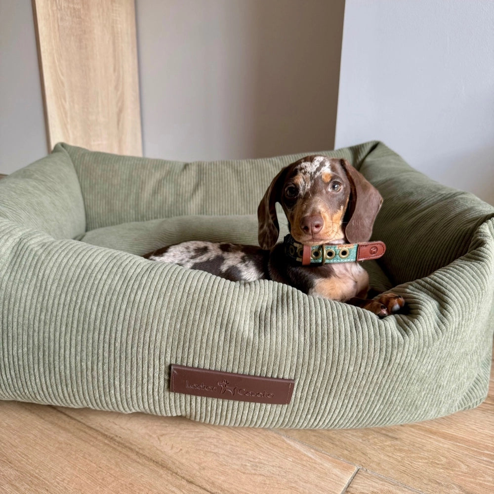 Panier pour chien en velours côtelé - pradera