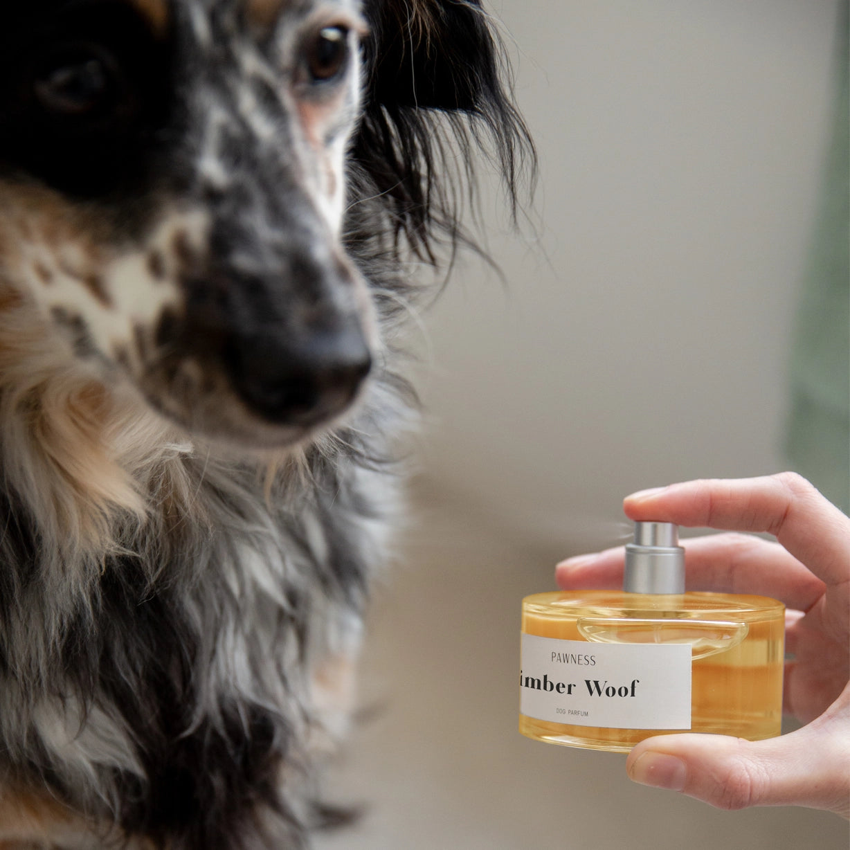 Parfum pour chien - timber woof