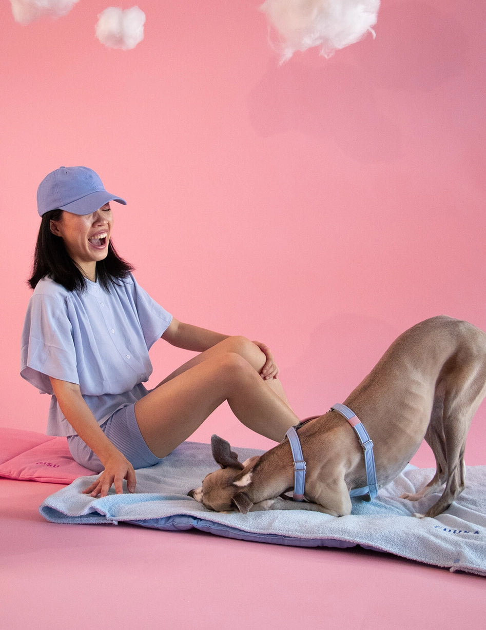 Serviette pour chien - nomad