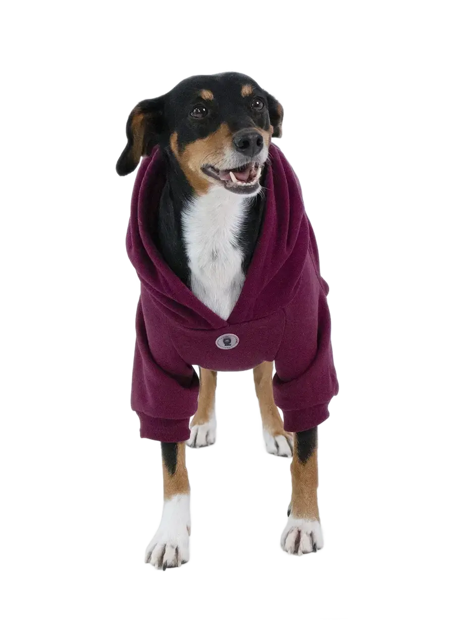 Sweat à capuche pour chien