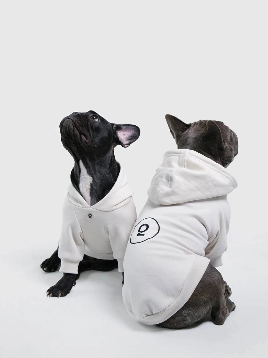 Sweat à capuche pour chien