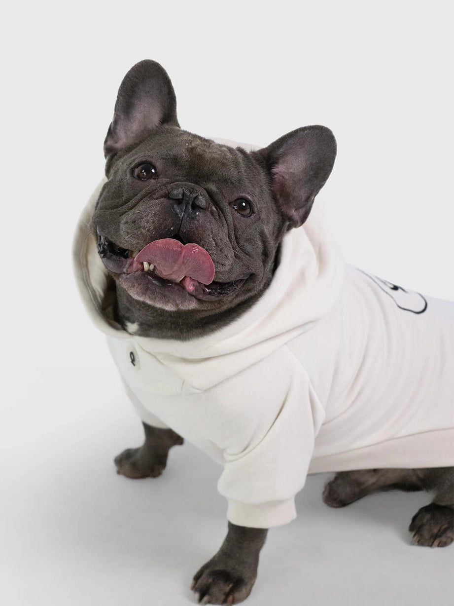Sweat à capuche pour chien
