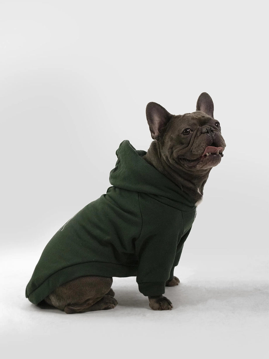 Sweat à capuche pour chien